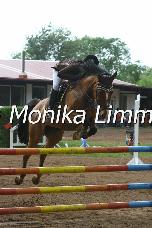 104M4132_Latina_Spring M.JPG